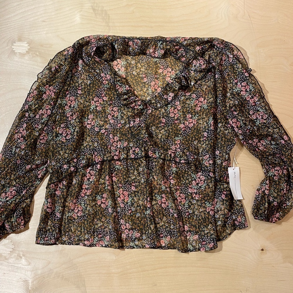 Truth Sheer Long Sleeve Blouse 3X (IF)